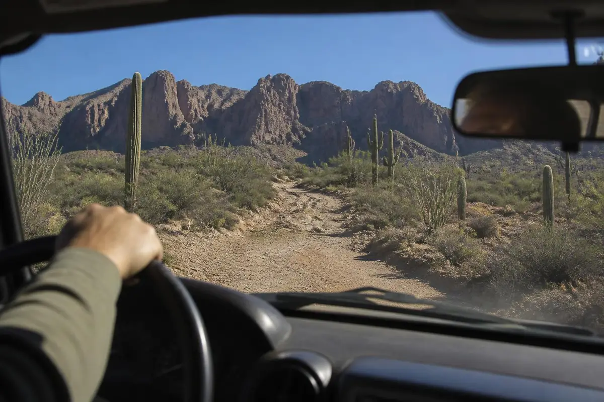 Illustrative: dash view of a desert trail with saguaros